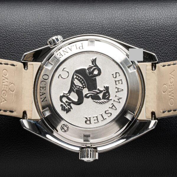 Omega 222.18.42.20.01.001