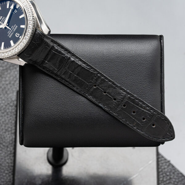 Omega 222.18.42.20.01.001