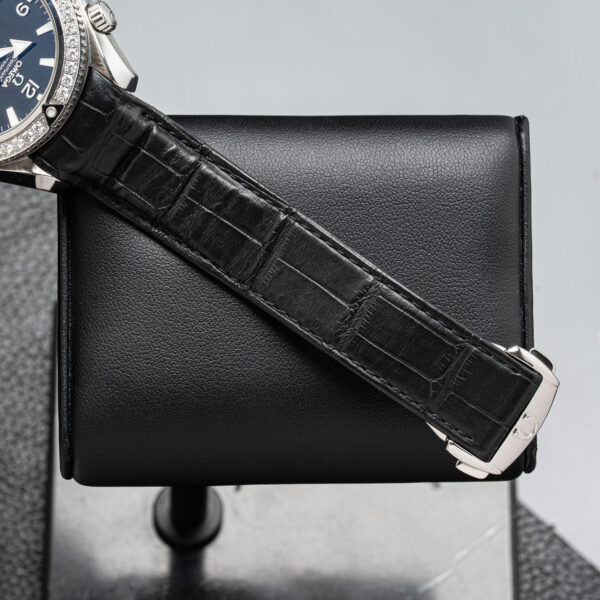Omega 222.18.42.20.01.001