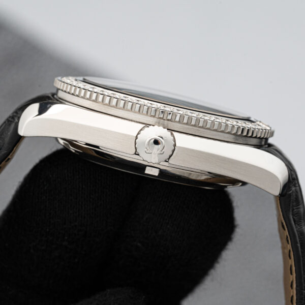 Omega 222.18.42.20.01.001
