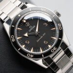 Omega 234.30.41.21.01.001