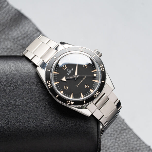 Omega 234.30.41.21.01.001