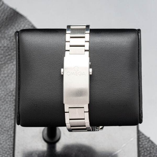 Omega 234.30.41.21.01.001