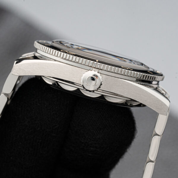 Omega 234.30.41.21.01.001