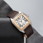 Cartier W20077X7