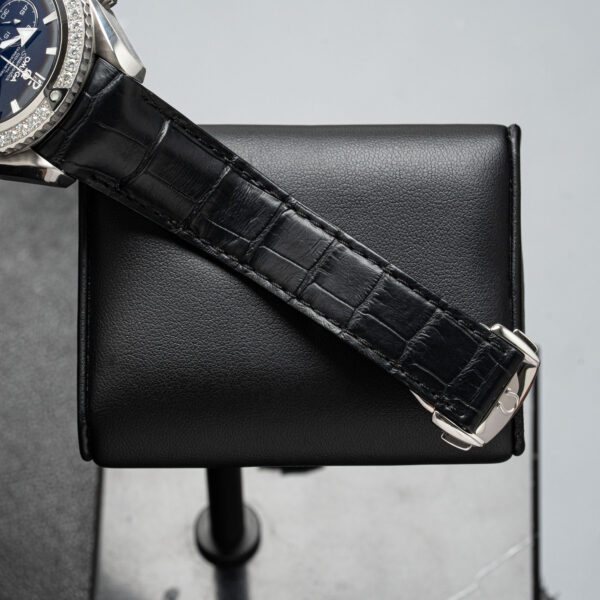 Omega 222.18.46.50.01.001